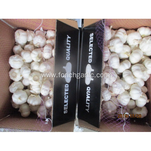 Best Quality Fresh Crop 2019 Pure White Garlic